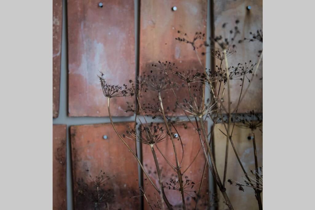 Apartament L'Etage Et Son Patio Ruelle-sur-Touvre Zewnętrze zdjęcie